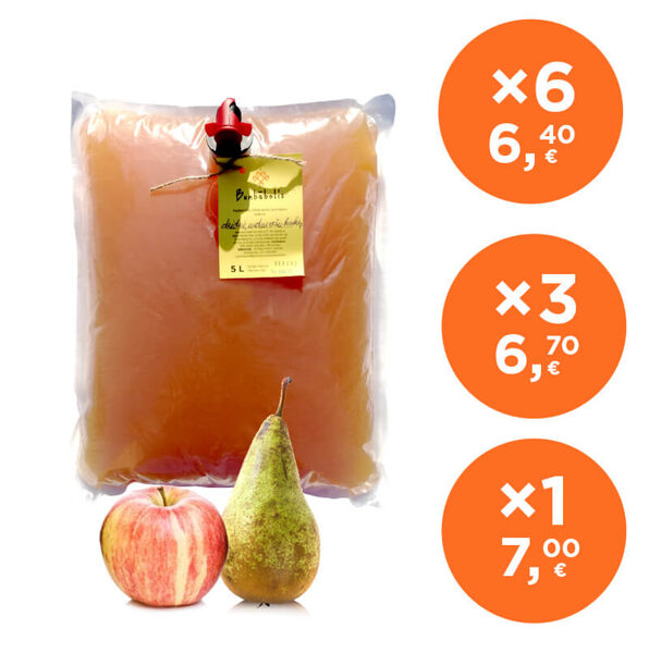 BUMBĀBOLIS 5L